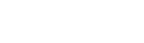 VIZIOM